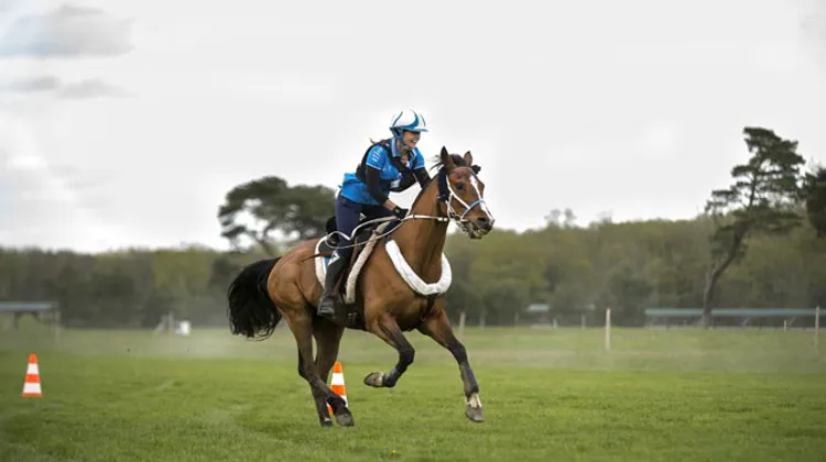 Virginie Atger, en photo au CEI 3* de Rambouillet, défendra à Most le titre de championne d'Europe qu'elle avait obtenu par équipes à Florac, en 2011 © Brigitte Huard