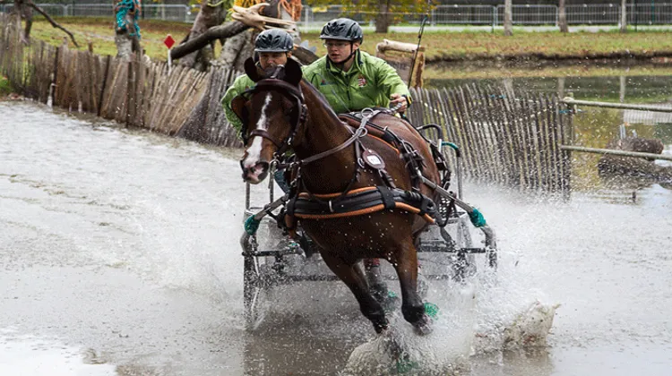 Le Hongrois Martin Holle remporte l'épreuve d'attelage Poney en solo. Photo Patrick Crasnier