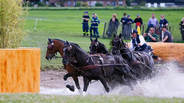 Qui succèdera à Boyd Exell, le champion d'Europe en titre, ce week-end à Izsak ? © FEI photo/Rinaldo de Craen