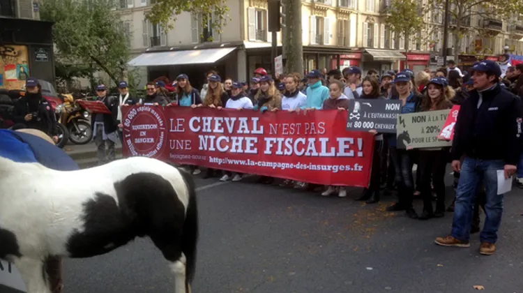 Manifestation à Paris le 11 novembre contre la hausse de la TVA. 