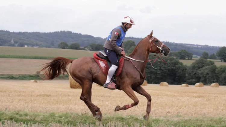 Kalid Sanad A. Al Nuami et Kinaye de Sinuhe ont remporté la course de Corlay. Photo Pierre Jambou