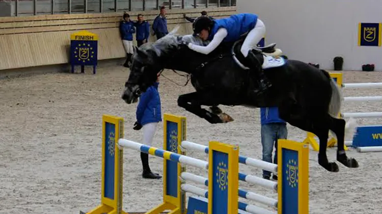 Levisto Alpha Z a été très remarqué lors de la présentation des étalons du haras Zangersheide. Photo Alice Corbin