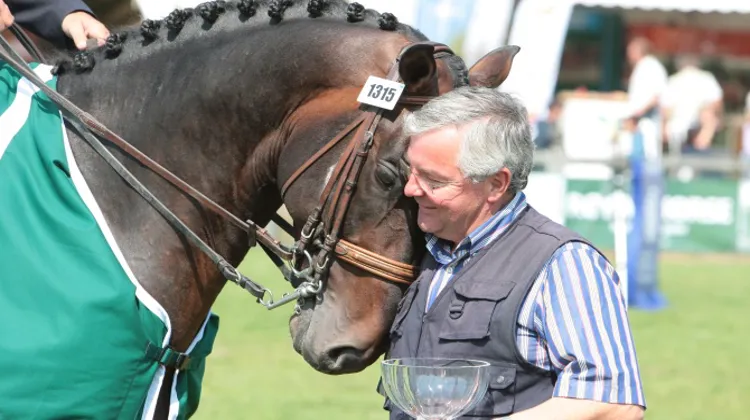 Quand les bons chevaux se présentent bien, ils se vendent bien, Arnaud Evain. Photo Scoopdyga