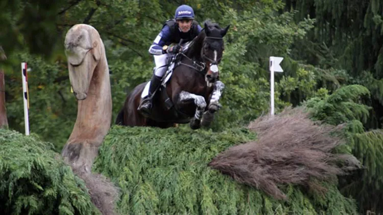 Auteur d?un maxi sur Clifton Promise, Jonathan Paget a pris la tête du CCI 4* de Pau, cet après-midi dans le Béarn. Crédit Pauline Chevalier