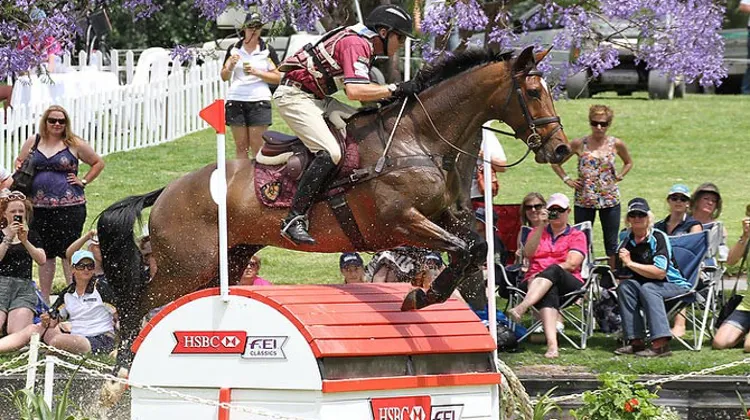 Craig Barrett victorieux à Adelaïde. Crédit Jenny Barnes/FEI
