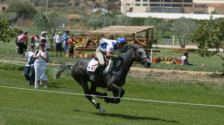 Nicolas Touzaint et Galan de Sauvagère galopant dans le cross des Jeux olympiques d'Athènes. Depuis 2004, la France, qui continue à remporter des médailles européennes, n'est plus monté sur aucun podium mondial ou olympique.