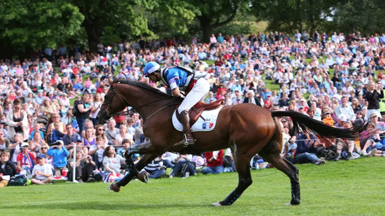 Champion de France l'an passé avec Hidalgo de l'Ile, Nicolas Touzaint ne remettra pas son titre en jeu cette année. Photo Scoopdyga