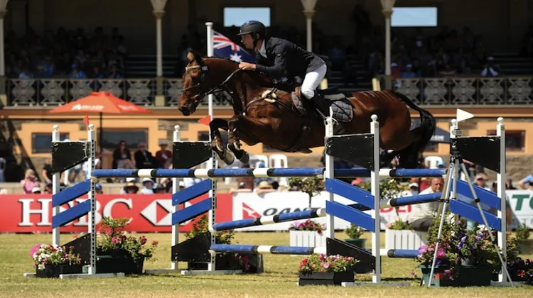 Christopher Burton et TS Jamaimo s'étaient imposés l'année dernière. Ils ne retenteront cependant pas leur chance cette année. Crédit photo Julie Wilson/FEI