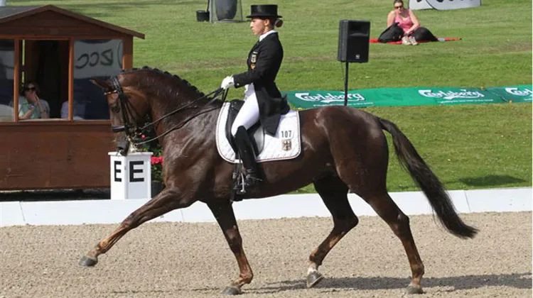 Domination allemande à Broholm (Ph. Ridehesten.com)