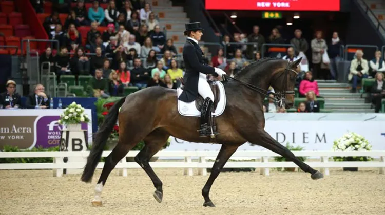 Ici avec Don Auriello, Tinne Vilhelmson-Silfven montera Divertimento pour cette Coupe des nations. Photo Roland Thunholm/FEI