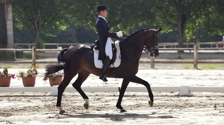 Le Belge Simon Missiaen avait remporté l'édition 2012, sur le dos de Vradin. © Société de Concours Hippiques de Pompadour