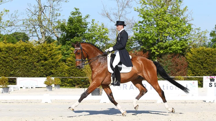 Jean-Philippe Siat s'est imposé ce week-end à Auvers en selle sur Tarski van de Zuuthoeve. Photo PSV Morel