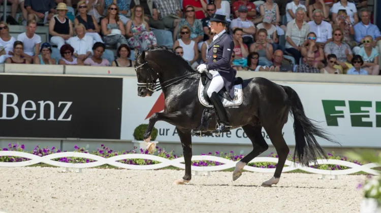 Photo Dirk Caremans/FEI