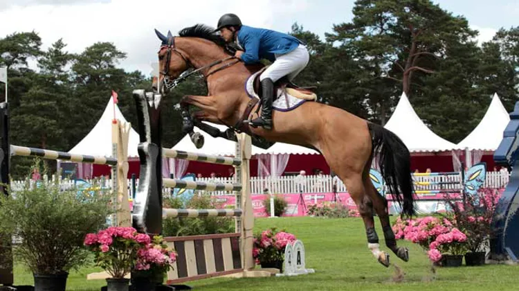 Deuxième victoire à Fontainebleau pour Bernado Alves et Obelix