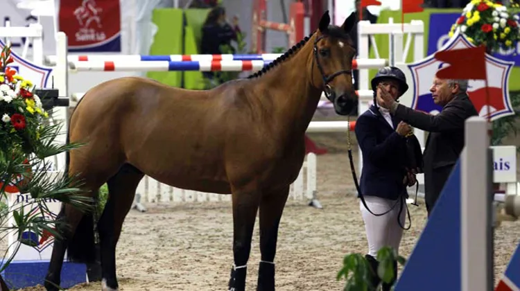 Quick Study & Lauren Hough (Ph. Jennifer Decamp)