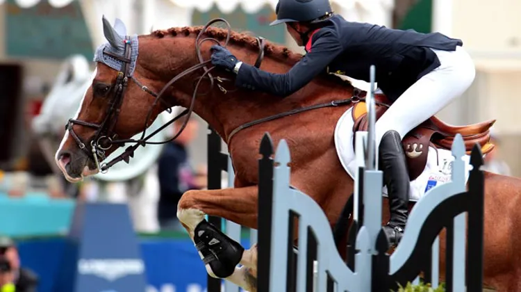 Topinambour à La Baule. (Ph. Scoopdyga)