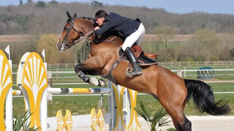Jérôme Hurel et Warrior s'imposent à Autheuil-Authouillet (Ph. MA Thierry)