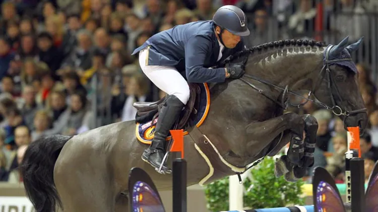 Ludo Philippaerts et Tauber vh Kapelhof à Bordeaux, en février © Scoopdyga