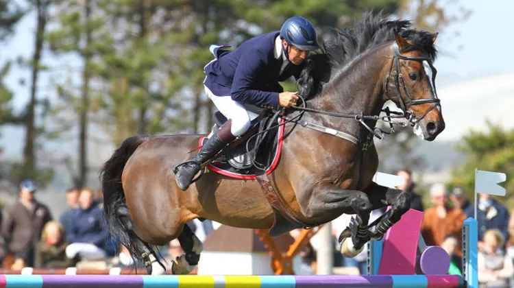 Steven Whitaker et Locarno 62, ici au CSI 3* du Touquet, ont remporté hier un petit Grand Prix à 1,55m, sur la piste en sable de Bourg-en-Bresse. Photo Scoopdyga