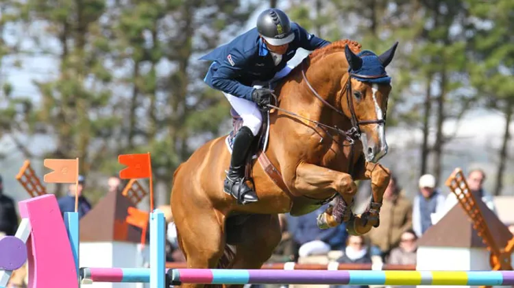 Julien Epaillard, ici avec Qarat de la oge, fait partie des quarante-six Tricolores qui tenteront leur chance à Saint-Lô ce week-end © Scoopdyga
