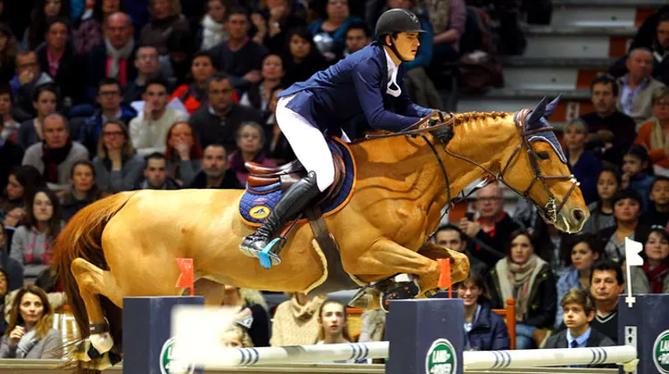 Joli coup double de Nicola Philippaerts et Donatella-N, ici à Bordeaux. On les retrouvera avec plaisir à Lyon. Photo Scoopdyga