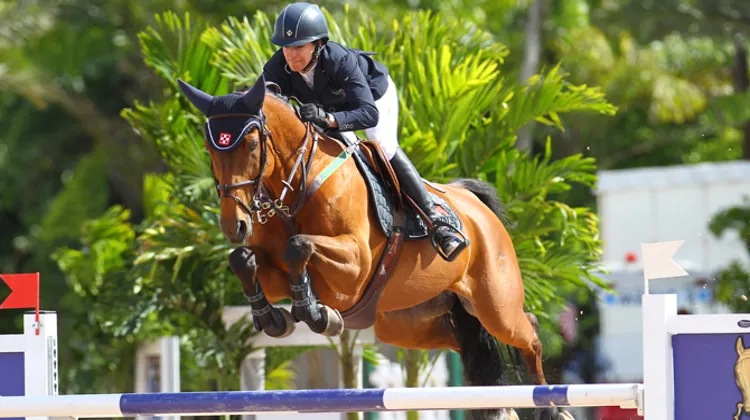 Laura Kraut a décidé, en accord avec les propriétaires de la jument, qu'il était temps qu'elle parte à la retraite. Photo Scoopdyga