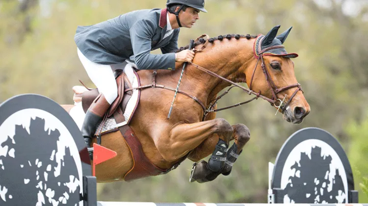 L'an passé Rodrigo Pessoa avait terminé troisième du Grand Prix associé à G and C Lagran. Photo DR