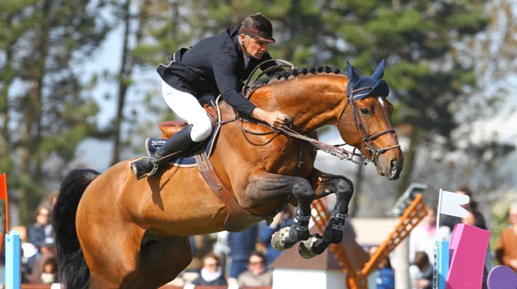 Jérôme Hurel a remporté le Grand Prix avec Premier de Falaise. Photo Scoopdyga
