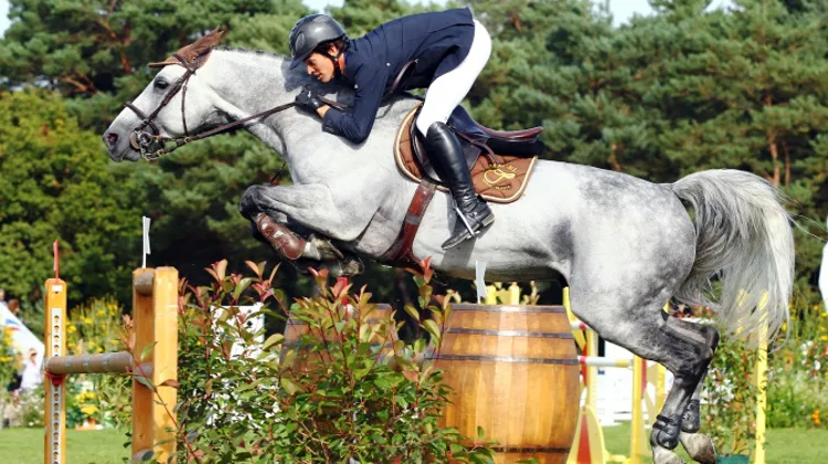 Sébastien Duplant aura conduit Pégase du Mûrier, ici à Fontainebleau, jusqu'au plus haut niveau national. Il va désormais intégrer l'élite mondiale. Photo Scoopdyga
