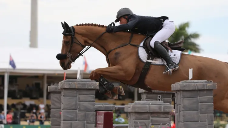 Olivier Robert et Quenelle du Py feront partie de l'équipe Tricolore lors de la Coupe des nations de Wellington. Photo Sportfot