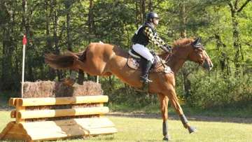 Ilona Gilles a pris la tête du classement provisoire avec Quesberoy Chauprade. PHOTO. PSV MOREL