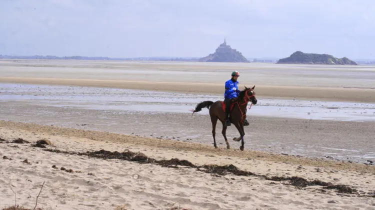 Le Sheikh Hamdan Bin Mohamed Al Maktoum a mené Yamamah vers la victoire. Photo Pierre Jambou