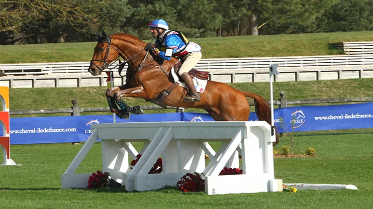 Qatar du Puech Rouget poursuivra son aventure du complet avec Cédric Lyard (ici à Fontainebleau en 2014) (@P Chevalier)