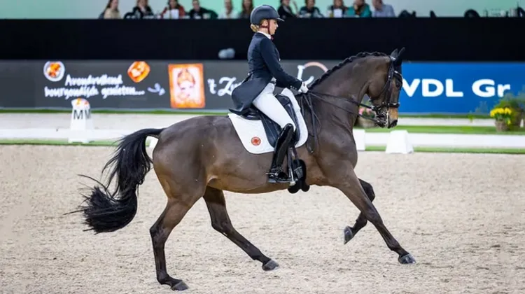 Les deux danseuses Jessica von Bredow-Werndl et Dalera BB dans le Grand Prix de Bois-le-Duc.