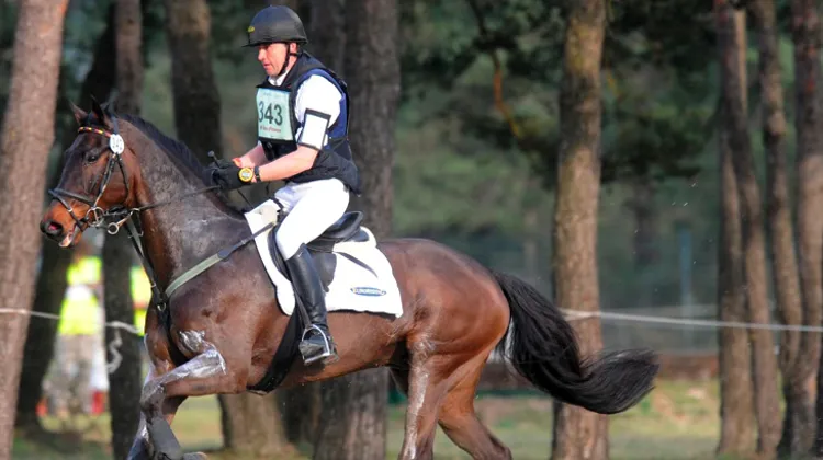 Andreas Dibowski et Euroridings Butts Leon gagnent à Jardy. Ph. Scoopdyga.