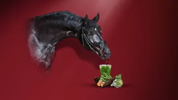 Il était une « foie » l’Algua Digest, pour le soutien de la fonction hépatique