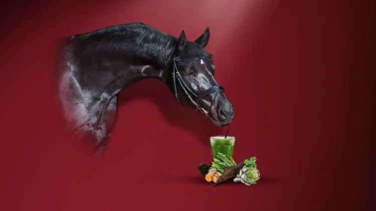 Il était une « foie » l’Algua Digest, pour le soutien de la fonction hépatique