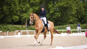 Ici en photo, As Boy de Kappa a accompagné Charlotte Bordas dans son déménagement vers le Haras des Sens.