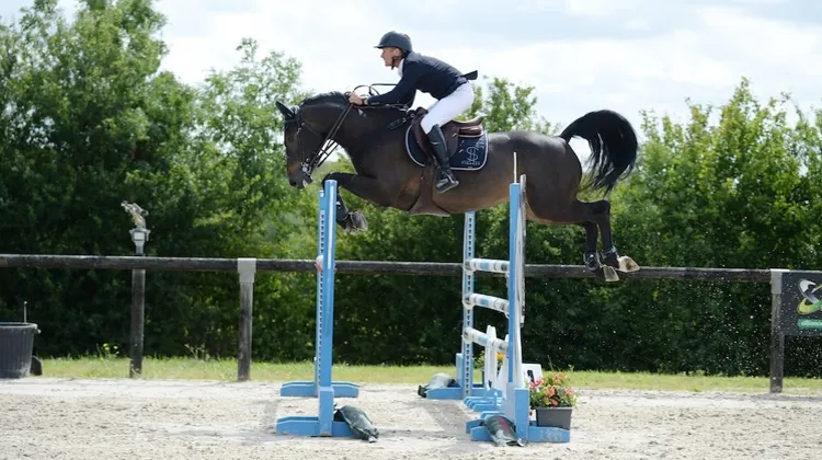 Mieux comprendre la situation économique actuelle