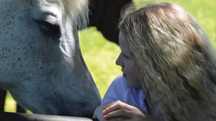 Retrouvez plus de contenus dédiés, des contacts de spécialistes et des produits consacrés au bien-être équin sur Rylife.fr