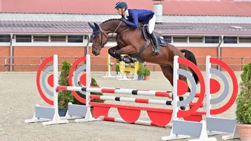 Chaconio Blue by Casallco - Chacco Blue