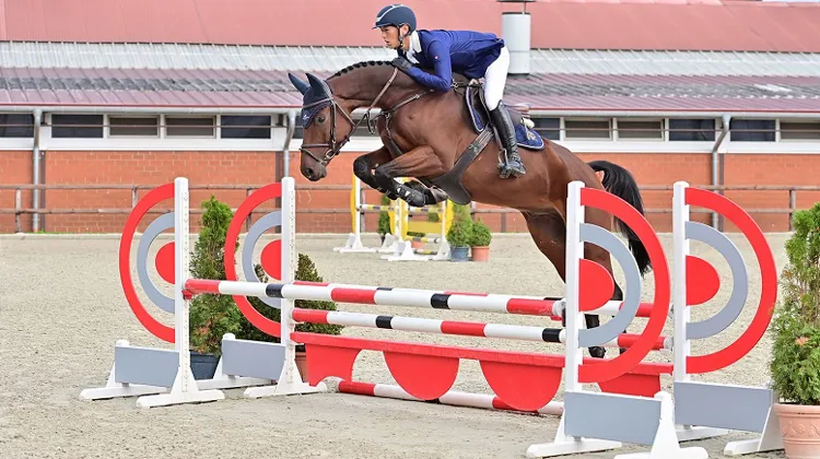 Chaconio Blue by Casallco - Chacco Blue