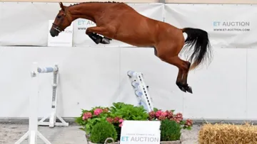 Resident vd Braembeier