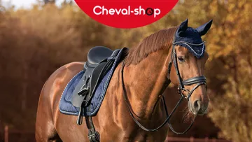 Fall Days Cheval-Shop : une semaine de folie ! 