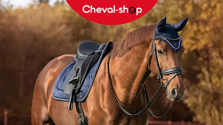 Fall Days Cheval-Shop : une semaine de folie ! 