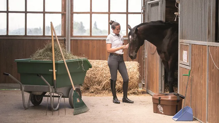 Crédit Photo Polymoule