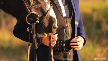 HORSE PILOT