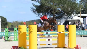 La toute jeune cavalière belge de onze ans, Robin Vermeir, réalise le seul double sans-faute de l'épreuve et permet à son équipe de s'octroyer la victoire. 