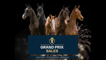 Reprise des ventes aux enchères Grand Prix Sales, poulains et embryons, du 27 au 28 juin