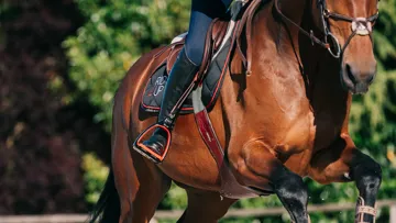 Les étriers Rid’Up: confort, équilibre et sécurité 